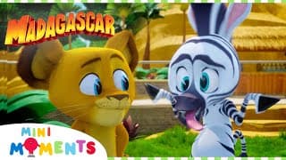 Marty's Wild Game Madagascar A Little Wild  Mini Moments
