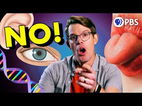 The Genetics Myths That Everyone Believes