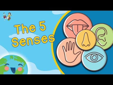 Five Senses For Kids (Learning Videos For Kids)