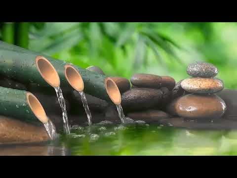 [Instantly Eliminate Insomnia In 5 Minutes] With Piano Music and Bamboo Water Fountain