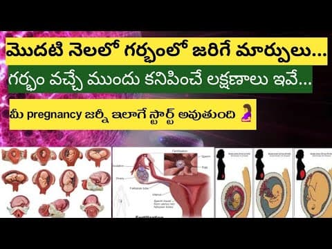 1st month of pregnancy in Telugu/pregnancy 1st month in telugu/Early symptoms of pregnancy