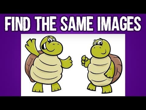 Find the same images challenge - find the 2 same pictures for kids