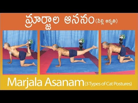 Marjala Asanam by Kuppi Reddy | Marjala asanam in Telugu | How to do Marjala Asana | Benefits