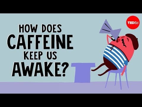 How does caffeine keep us awake? - Hanan Qasim - YouTube