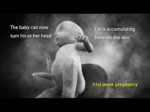 31 weeks pregnant-what every expecting mother should know