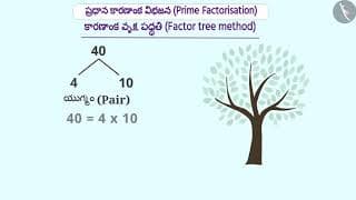 ప్రధాన కారణాంక విభజన | Part 1/3 | Prime factorization