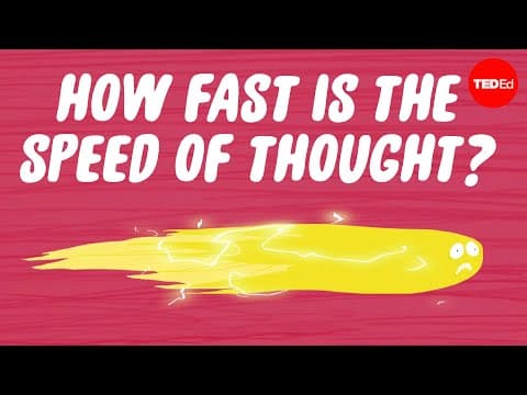 How fast is the speed of thought? - Seena Mathew - YouTube