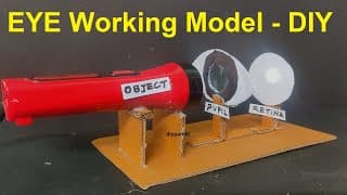 eye working model science project - diy - simple and easy steps - biology project