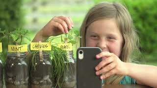 Kid Experiments |Indoor Herb Garden