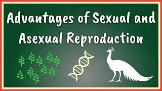 Advantages of Sexual and Asexual Reproduction