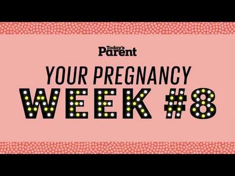 Your pregnancy: 8 weeks