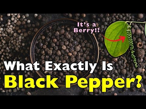 What Exactly Is Black Pepper? This Spice Was Once Worth Gold
