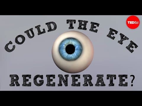 Could a blind eye regenerate? - David Davila