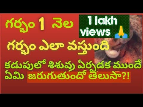 Pregnancy symptoms - pregnancy 1 month symptoms - pregnancy week by week symptoms