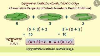 పూర్ణాంకాలలో సహచర ధర్మం | Part 1/3 | Associative Property of Whole Numbers