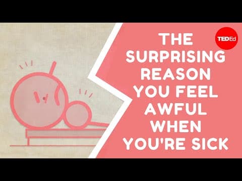 The surprising reason you feel awful when you're sick - Marco A. Sotomayor - YouTube