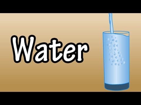 Water - Functions Of Water In The Body - Benefits Of Drinking Water