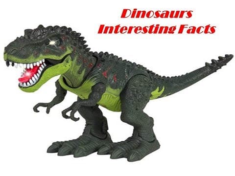 Dinosaurs Interesting Facts ( Subject - GK )