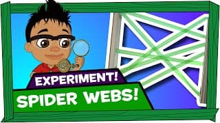 Kid Experiments | Spider Web