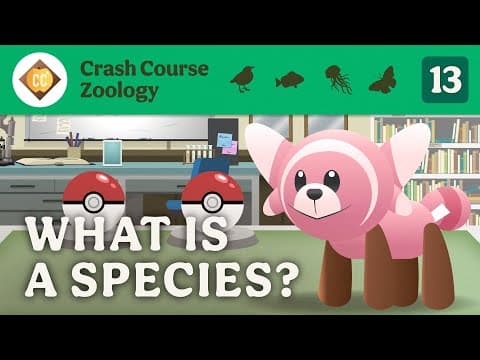 What is a Species? Crash Course Zoology