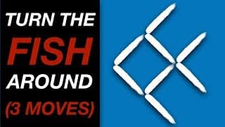 Fish Sticks Puzzle |Turn the Fish Around in 3 Moves