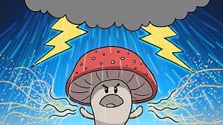 How Mushrooms Make It Rain