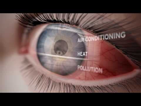 A Journey Through the Human Eye: How We See - YouTube