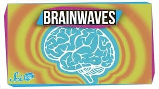 What Do Different Brainwaves Mean
