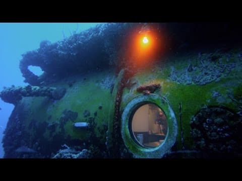 Two Weeks Under the Sea