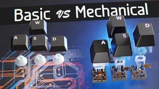 How do Computer Keyboards Work