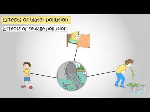 Water Pollution - Its Effects and Preventions | Science