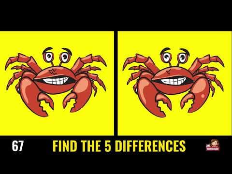 Put Your Observation Skills to the Test with These (Spot the Difference Games NO17)