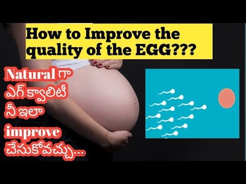 How to Improve the quality of the eggs Natural way to adopt explained in Telugu#pregnancy