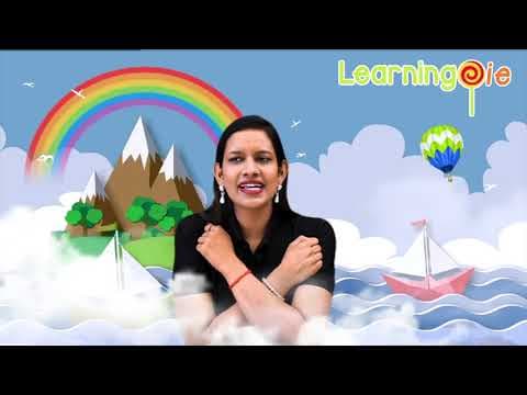 What Is Gratitude | Importance Of Gratitude For Kids