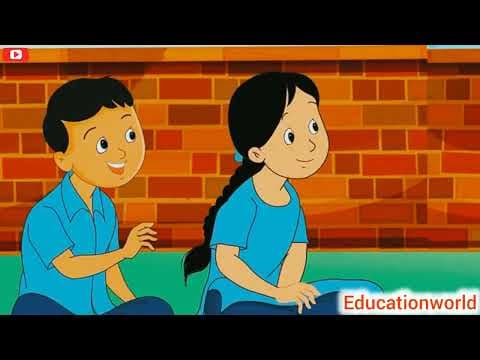 Food component !! Source of food !! Food 🥝🥝 ! Food chart ! Food chain ! Science ! Learning ! Study !