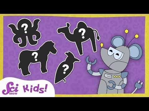 Can You Guess the Animal? | SciShow Kids Compilation - YouTube