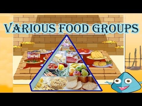 Food Pyramid, The 5 Different Food Groups, Learn the Healthy & Unhealthy Foods, Video