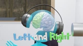 The Roles of Your Two Brains and the Importance of Communication