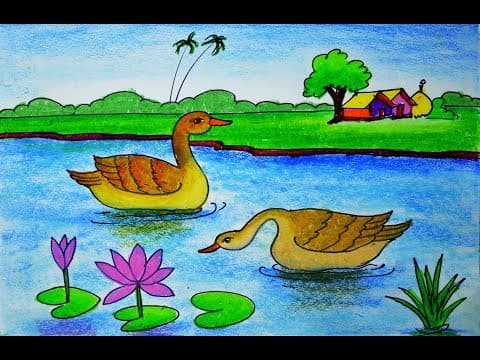 How to draw Scenery of Floating duck in the water, Duck Scenery Drawing