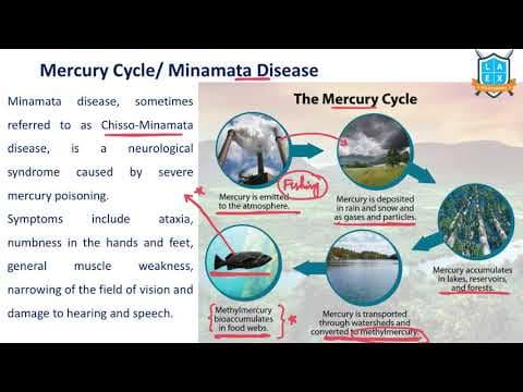 What is Minamata Disease ? || Minamata Disease అంటే ఏమిటి?