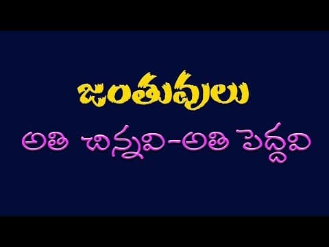 Animals and Specialization/Important GK bits for all competitive exams