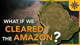 What If We CLEARED the Amazon