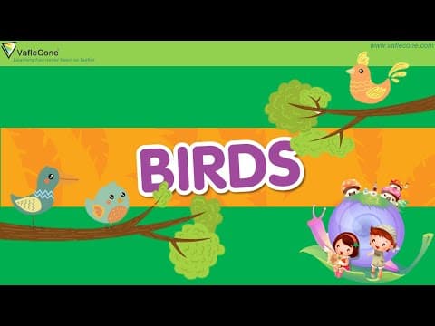 Learn Birds Name for Kids Basic Learning