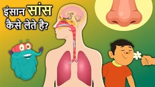इंसान सांस कैसे लेते है | How Human Nose Works In Hindi | Respiratory System | Dr. Binocs Show