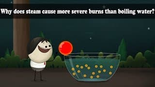 Why does steam cause more severe burns than boiling water  aumsum kids science education children