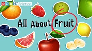 All About Fruit