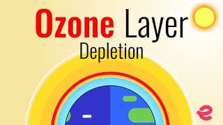 What Is The Ozone Layer|Ozone Layer Depletion|Class 12 Biology