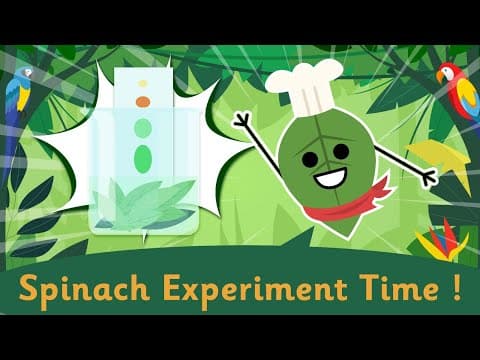 Photosynthesis｜Green Lover | Vegetable Experiment at home!｜Chromatography | Science Videos for Kids
