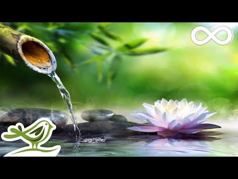 8 Hours of Relaxing Sleep Music • Sleeping Music Relaxing Music Fall Asleep Fast