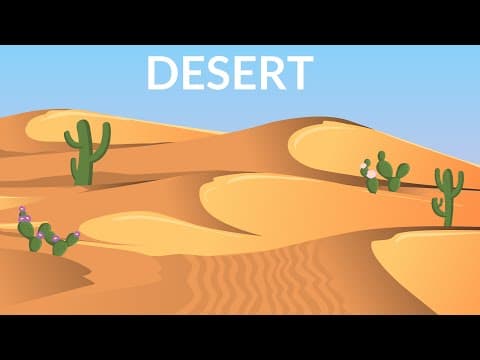 Desert - video for kids